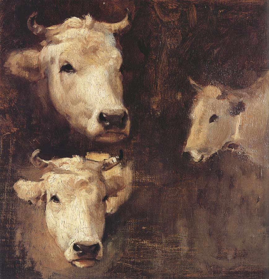 Oxen